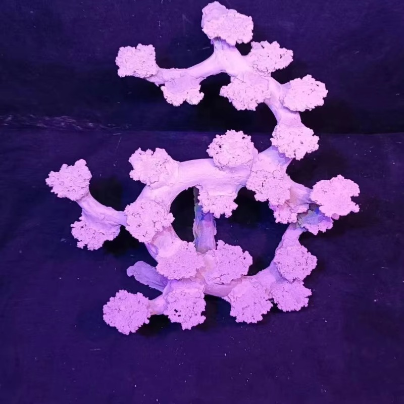 Aquascaping Saltwater Aquarium - Aquarium Marine Rock 评论和价格