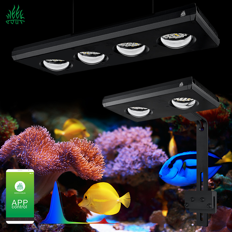 ZXY Hot Sale WEEKAQUA Z250 Z40 - Aquarium Blue Marine Reef 评论和价格