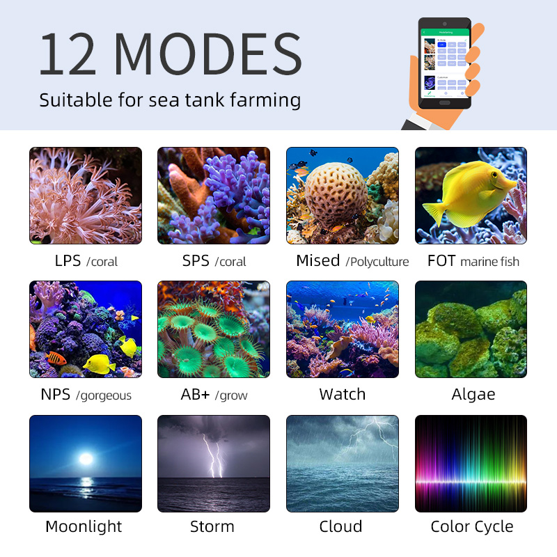 ZXY Hot Sale WEEKAQUA Z250 Z40 - Aquarium Blue Marine Reef 评论和价格