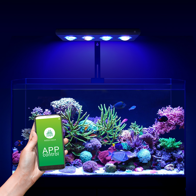 ZXY Hot Sale WEEKAQUA Z250 Z40 - Aquarium Blue Marine Reef 评论和价格