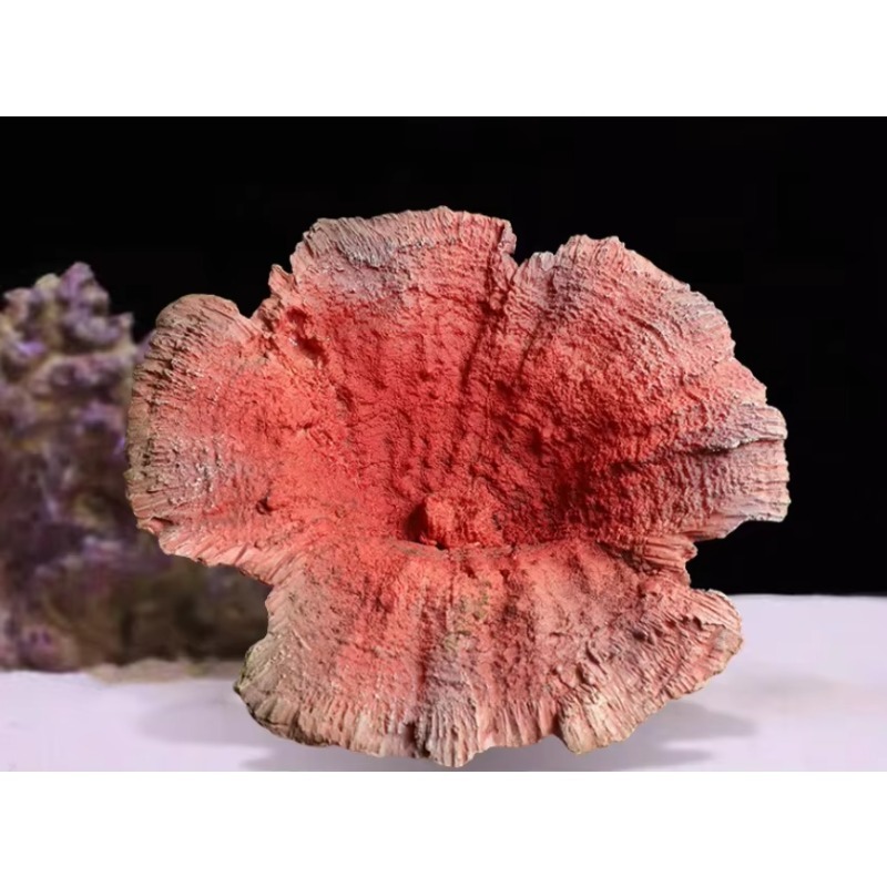 Handmade Artificial Coral Reef - Aquarium Marine Rock 评论和价格