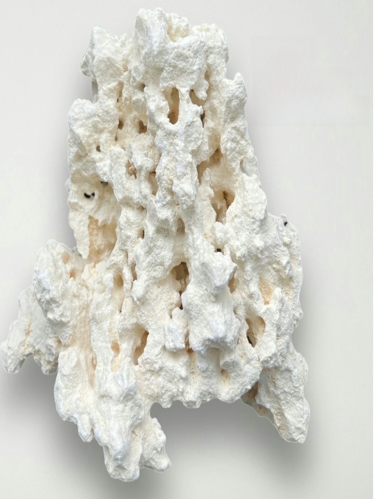 Kilago Dry Rock Natural Coral  - Aquarium Marine Rock 评论和价格